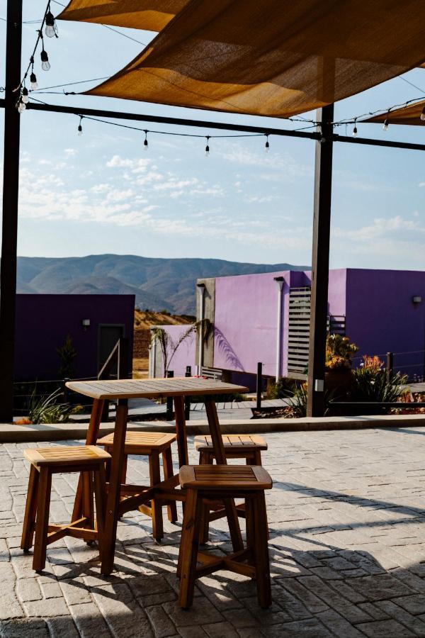 Flor De Cera Villa Valle de Guadalupe Dış mekan fotoğraf