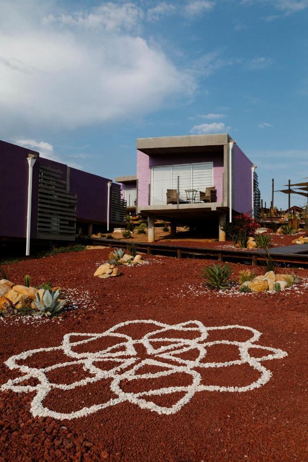 Flor De Cera Villa Valle de Guadalupe Dış mekan fotoğraf