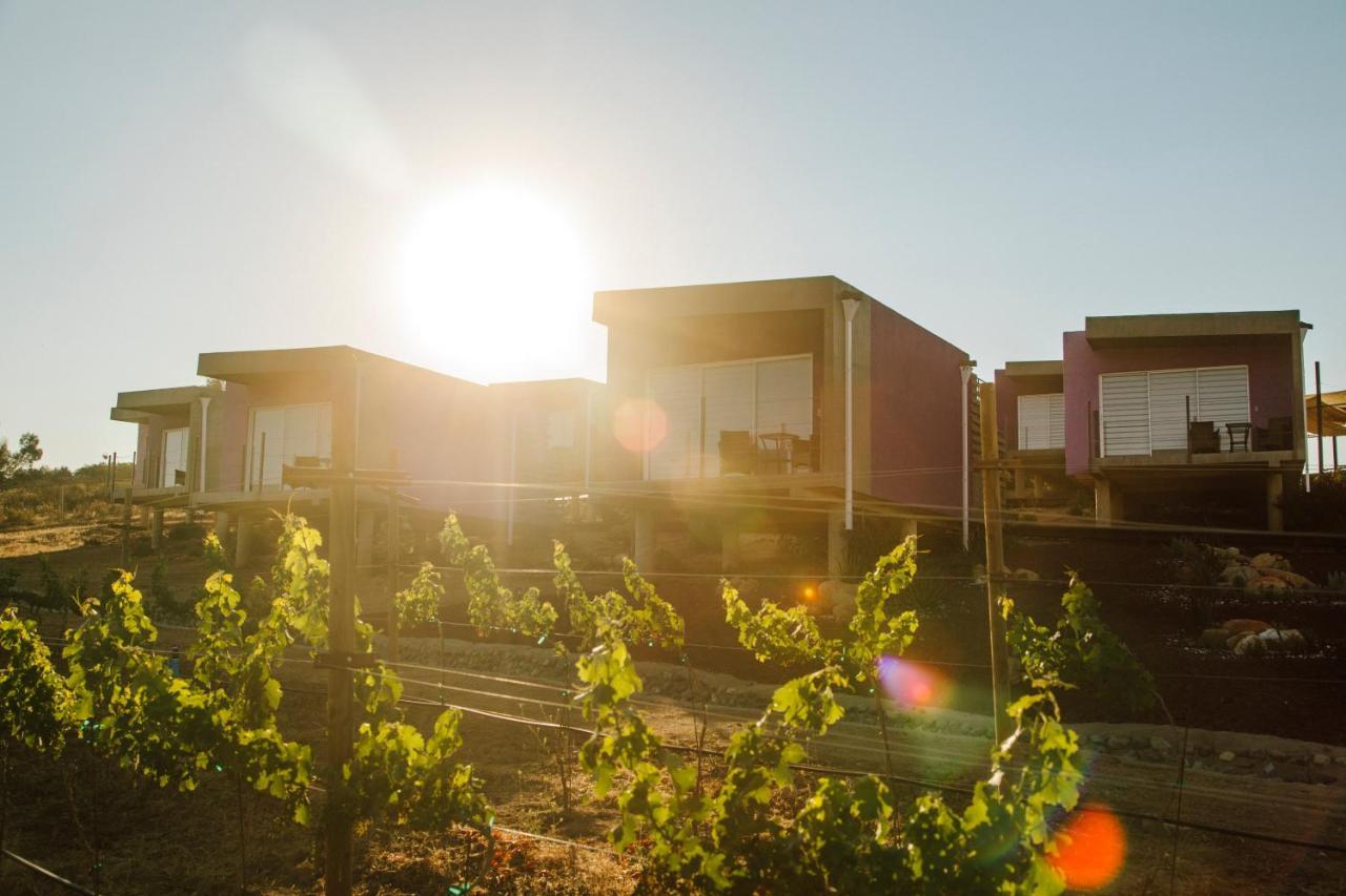 Flor De Cera Villa Valle de Guadalupe Dış mekan fotoğraf